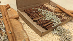 Copal Incense - Paired with Illuvia's Iridescence Of Clouds