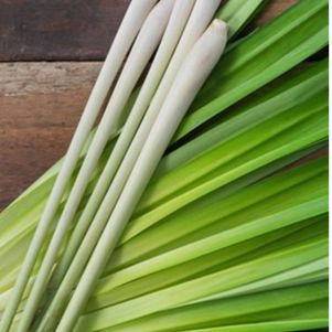 Ethos, Frank and Tony, Lemongrass