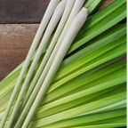 Natural lemongrass and elemi resin ingredients for hand-rolled artisanal incense

