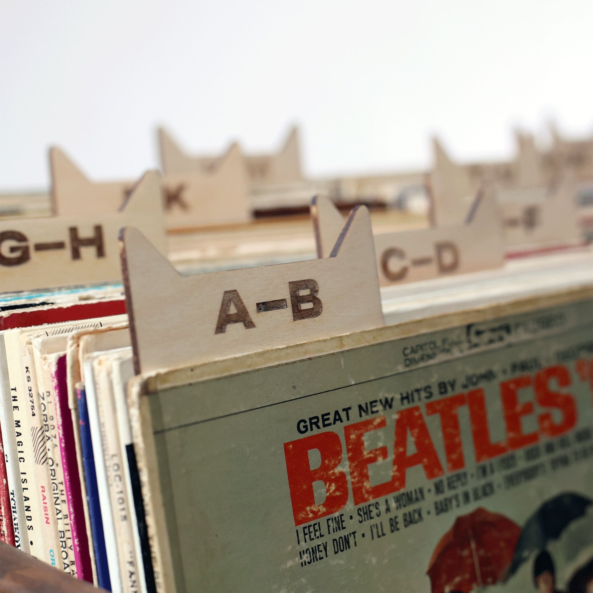The Vinyl Record Dividers