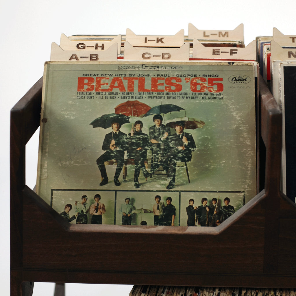 The Vinyl Record Dividers