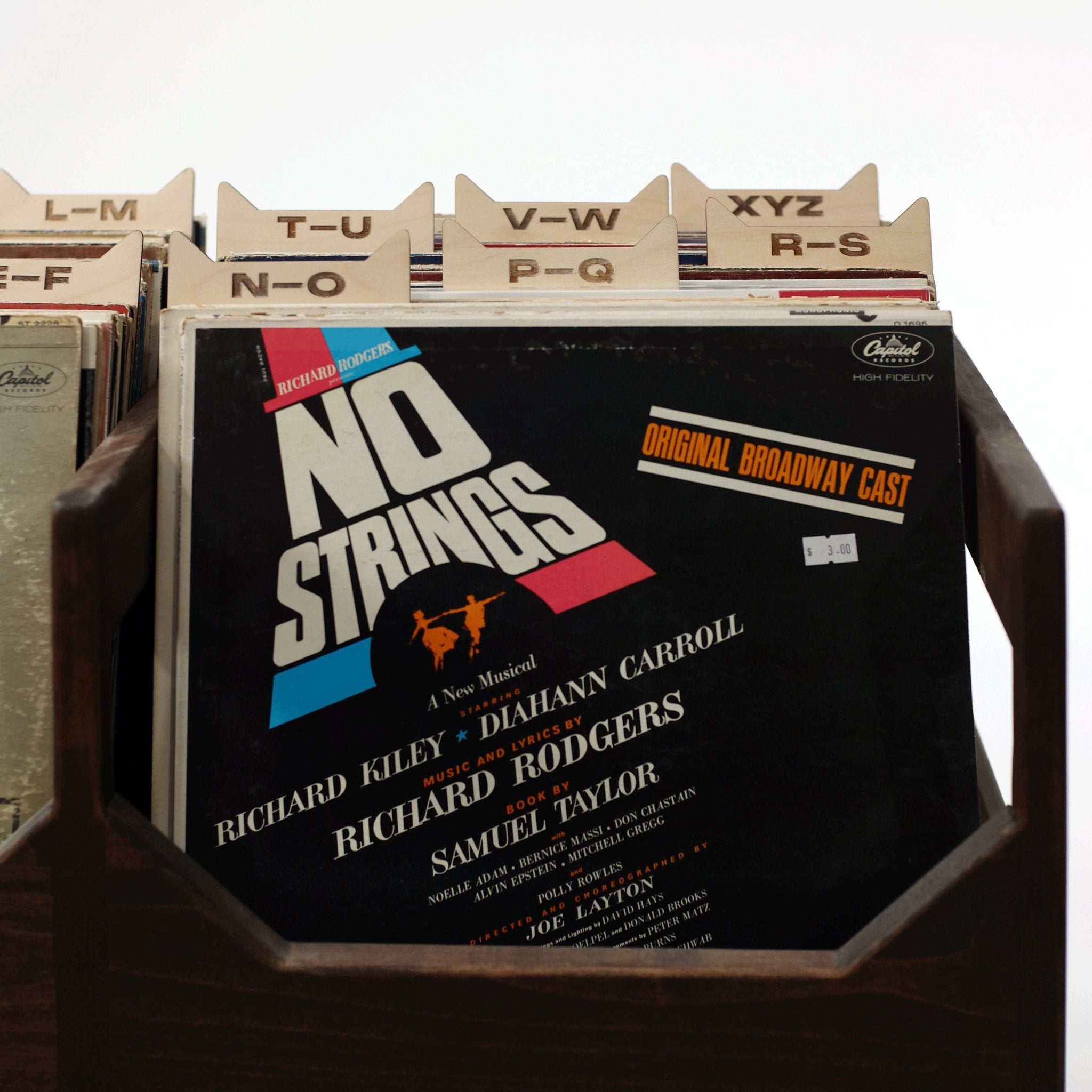 The Vinyl Record Dividers