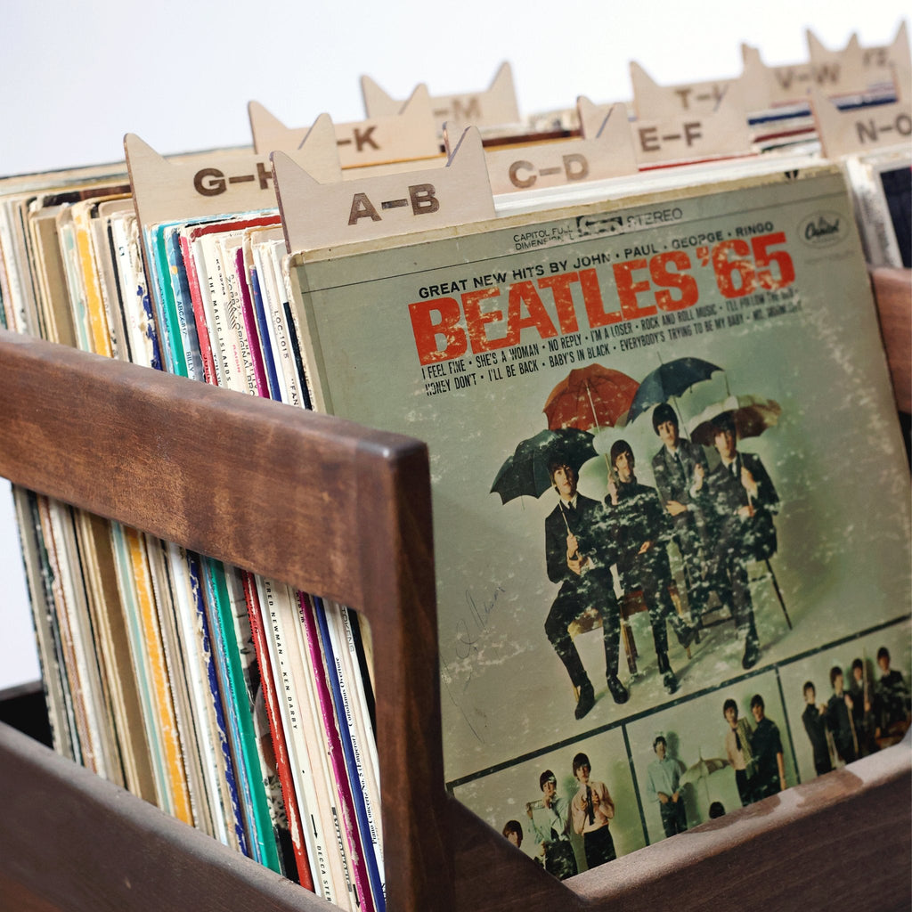 The Vinyl Record Dividers
