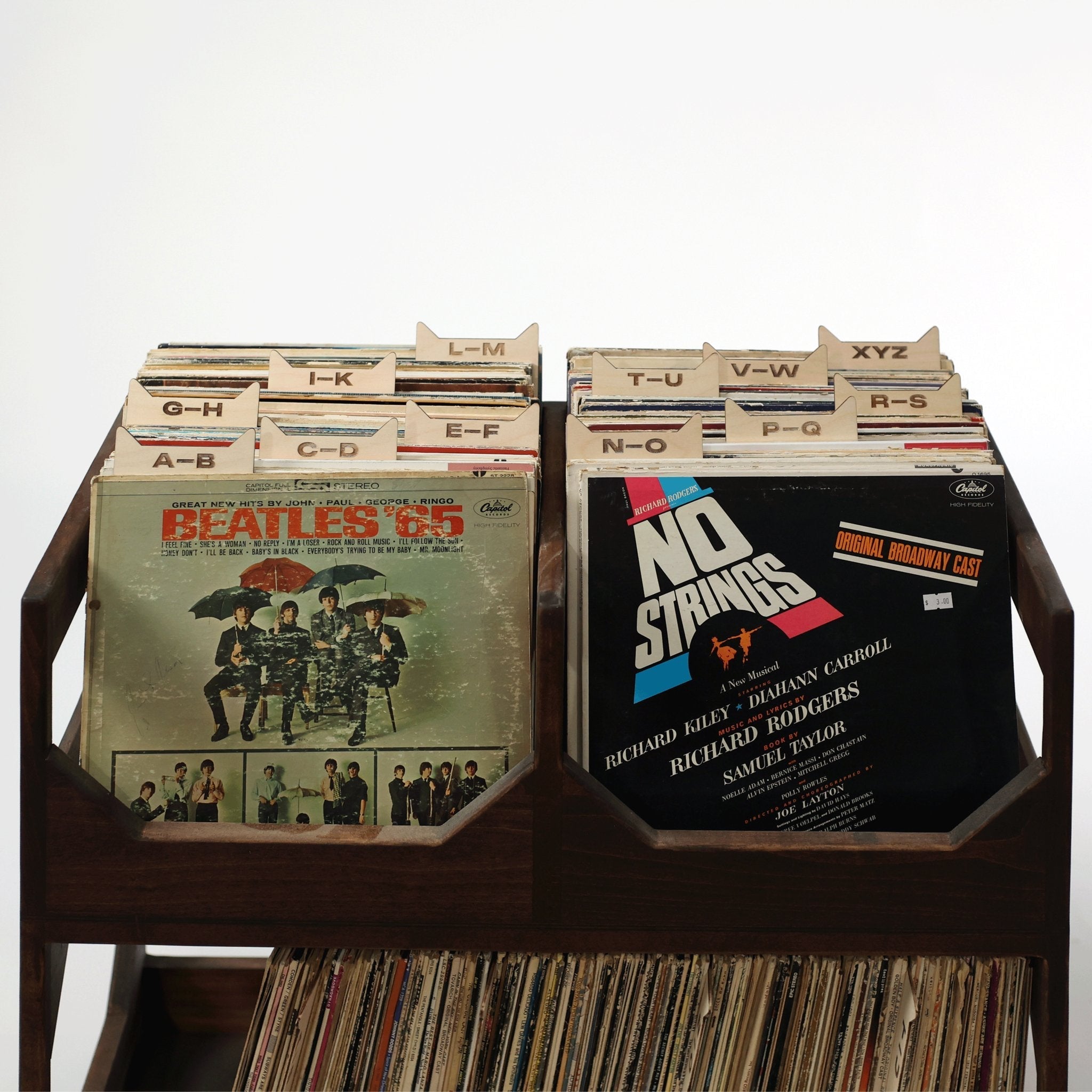 The Vinyl Record Dividers